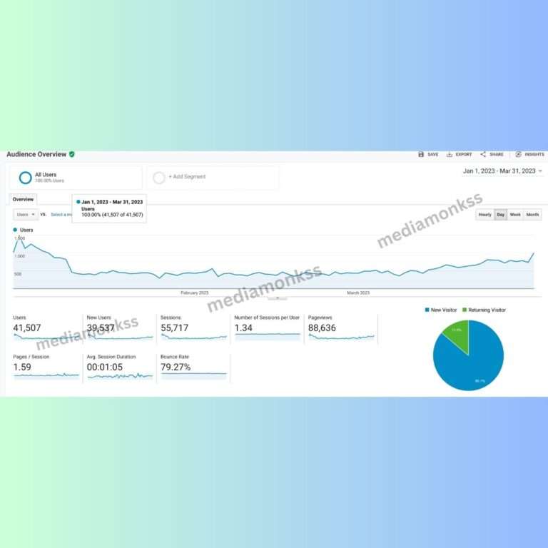 Media Monkss SEO service Results