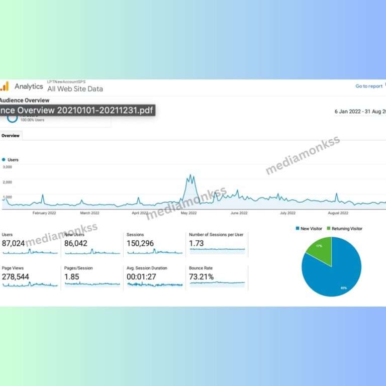 Media Monkss SEO service Results