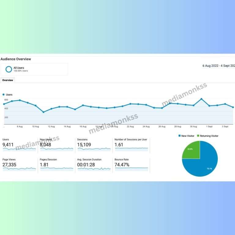 Media Monkss SEO service Results