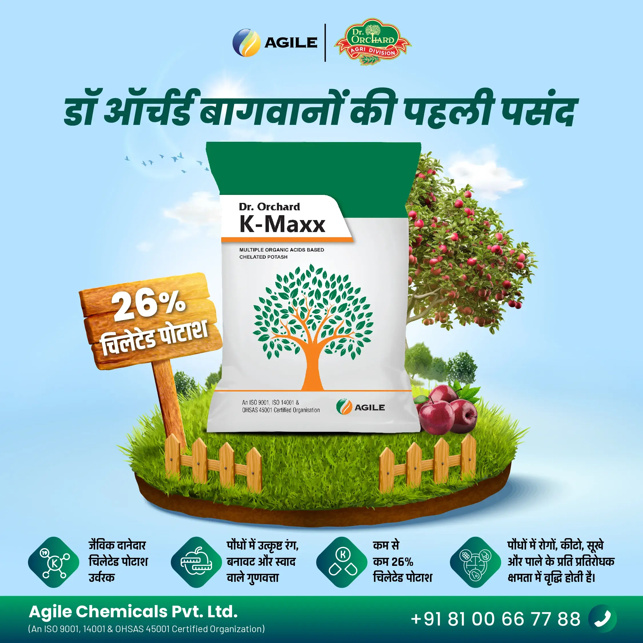 SOCIAL MEDIA CREATIVE